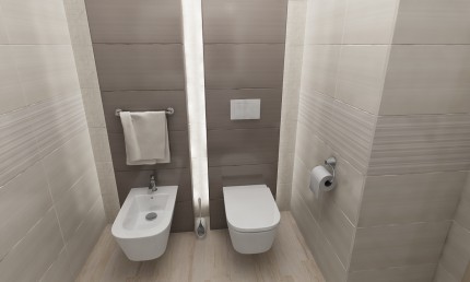 Návrh toalety s obkladom Desire / Martin